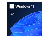 MS OEM WINDOWS 11 PRO ESPANOL 64BITS