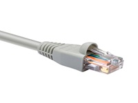 NXT Patch Cord Cat5e UTP 2m Gris | Conectividad de Red Óptima